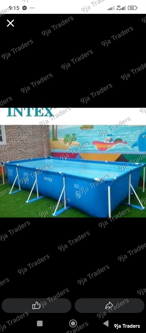 Intex Above Ground Swimming Pool